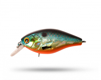 Strike Pro Cranky X Shallow  5 cm - Orange Belly Roach