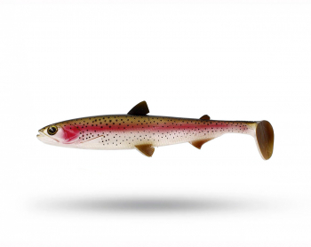 Westin Hypoteez Shad Tail 25 cm - Rainbow Trout